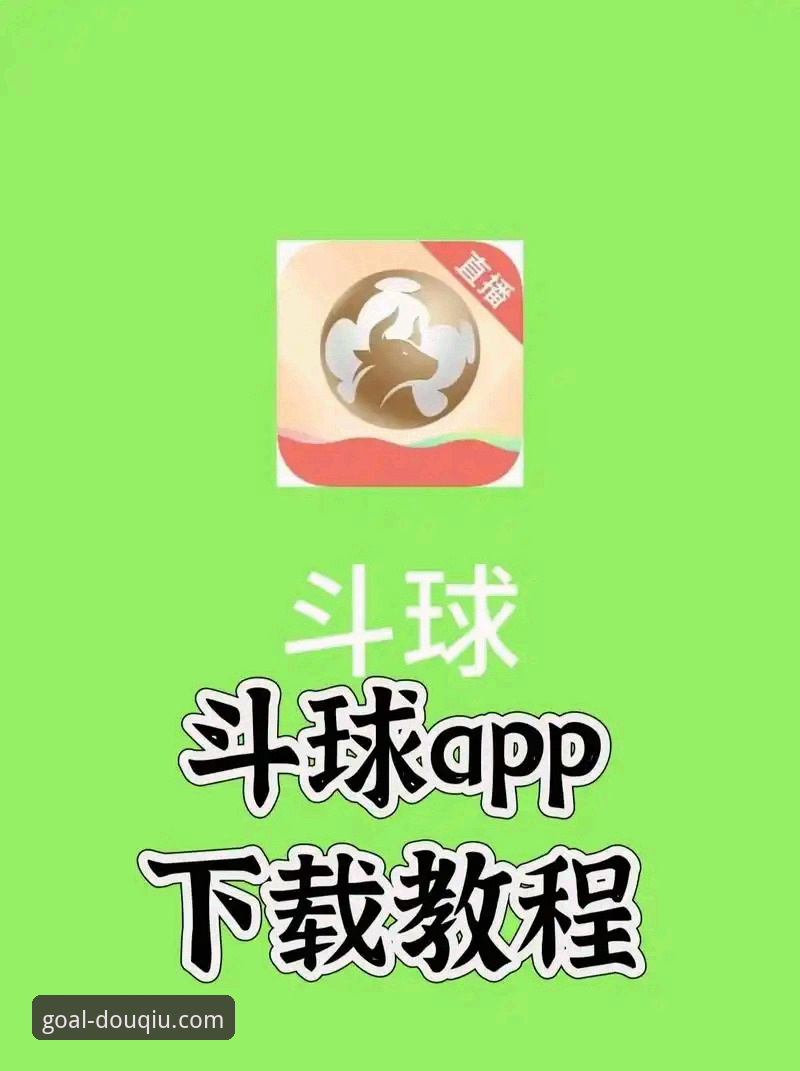 老球迷张的深度体验：斗球官方平台如何成为我的观赛与互动中心