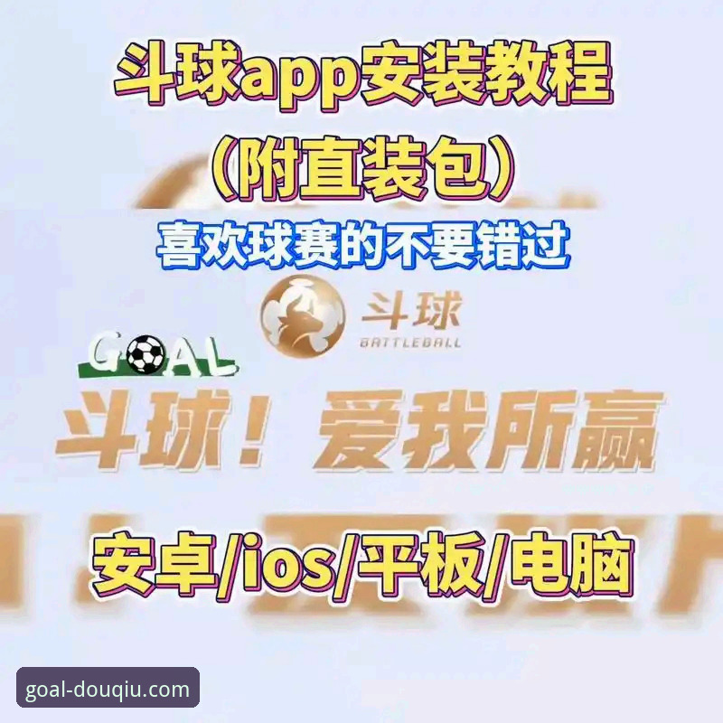 资深用户亲测：2026年斗球官方平台使用与可靠性深度解析教程